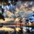 Shawn Schurr-Parks's profile image