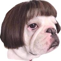 Logan Turuda's profile image