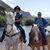 Dianne Sanford Tobin's profile image