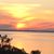 Gayle Bryant Forrester's profile image