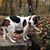Ruth Taber's profile image