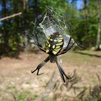 John Bretzik's profile image