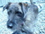 Molly J.'s profile image