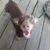 Douglas C Sorrells's profile image