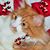 Pam Rohrer's profile image