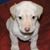 Mallory Eckman's profile image
