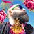 Jeremy Davidian's profile image