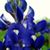 Maureen Geisel's profile image