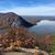 Darla Mansfield Addabbo's profile image