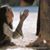 Sherry Jones's profile image
