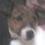 Vickie McCulloch Freed's profile image