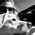 Kelly Kirby Gravino's profile image