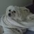 Jo Ann Raguseo's profile image