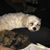 Cathy Gilbert's profile image