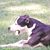 Christine Hayes's profile image