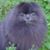 Barbara Krzewicki's profile image