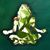Anna N Martinez's profile image