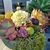 Mary Jo Shannon's profile image