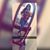 Ani Lopez's profile image