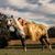 Courtney Givens Frisby's profile image