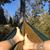 Tod Overstreet's profile image