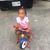 Sheba Hansard's profile image