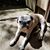 Star Loftus's profile image