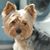 Maria Monserrat Diaz Labro's profile image