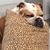 MaryAnn Vitto's profile image