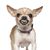 Ken Grant's profile image