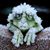 Tammy Granner Mackie's profile image