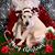 Kelly Scipione's profile image