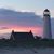 Carol Gore Rawls's profile image