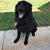 Dick Worsham's profile image