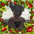 Kimberly Bennett Brumley's profile image