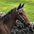 Melinda Byrd's profile image