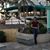 Ricardo Lopez's profile image