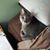 Lori Greenberg's profile image