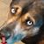 Nora Spelich's profile image
