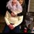 Beverly Wedgman's profile image