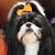 Cyndi Pyle Stone's profile image