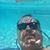 James Insley's profile image