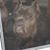 Tori Doss's profile image