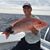 Jon Garey's profile image