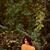 Larissa Sotelo's profile image