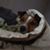 Karen Mooney's profile image