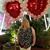 Leslie P Domler's profile image