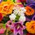 Frances Oglesby's profile image