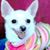 Sissie White's profile image