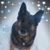 Vicky LaTulip's profile image